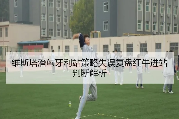 维斯塔潘匈牙利站策略失误复盘红牛进站判断解析